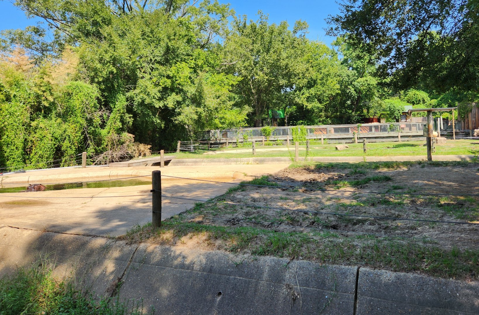 Louisiana Purchase Zoo - Hippo exhibit