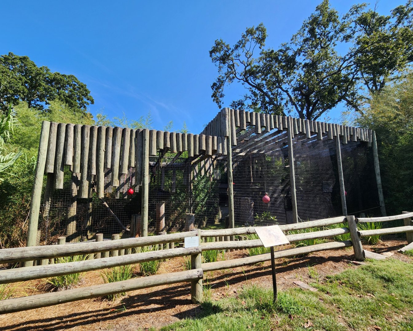Louisiana Purchase Zoo - Hoolock exhibit