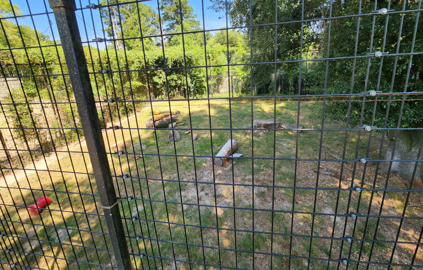 Louisiana Purchase Zoo - Lion enclosure