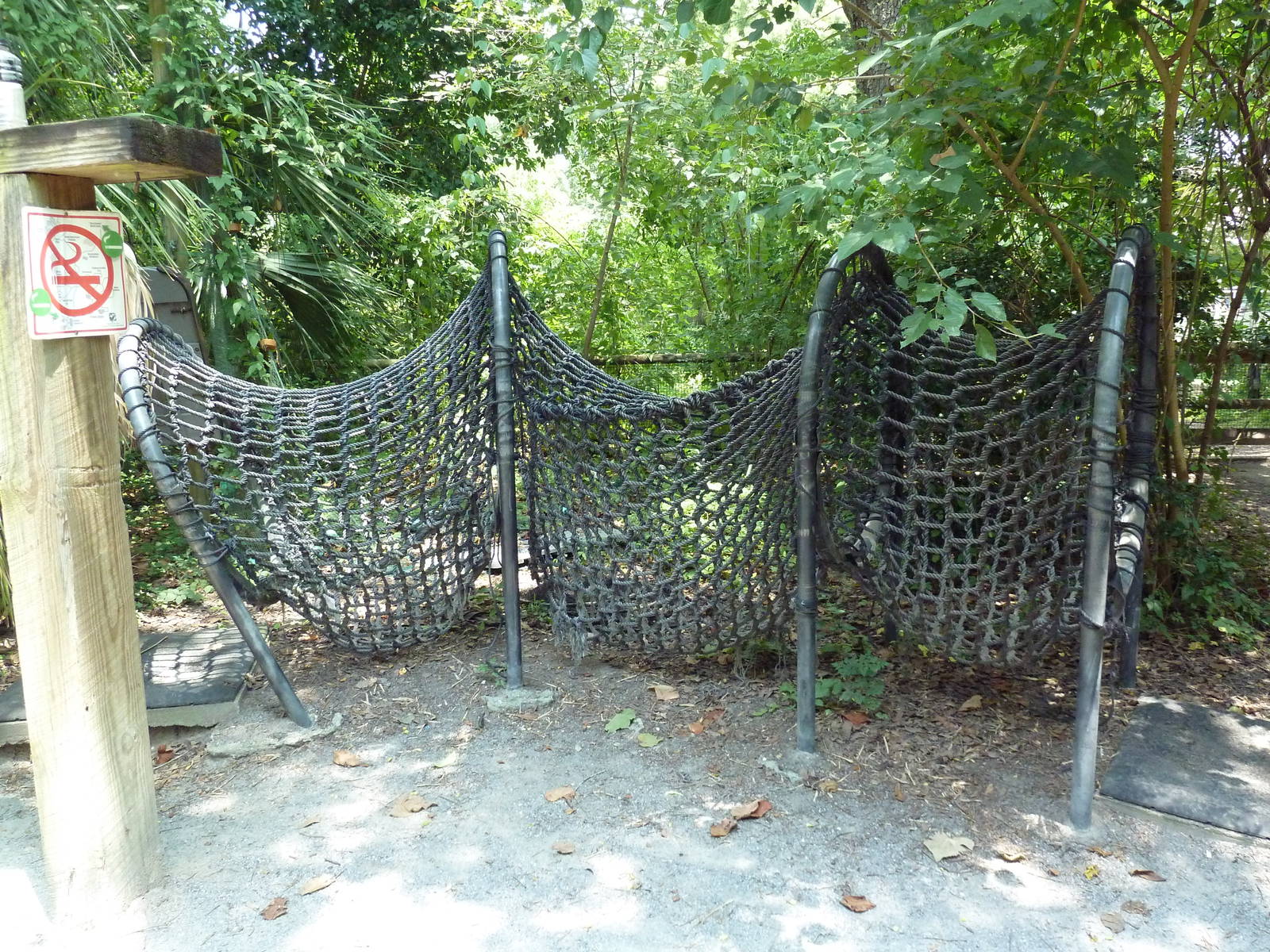 Louisiana Swamp - Alligator Trap