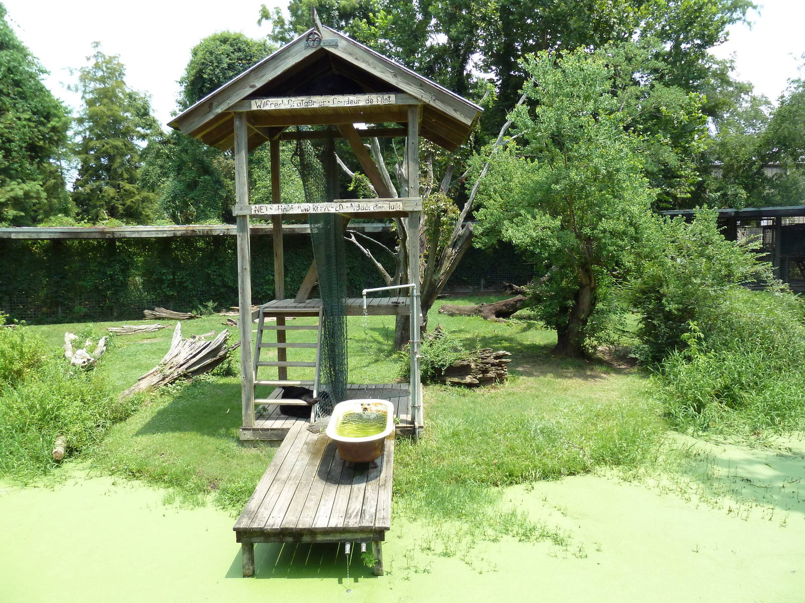 Louisiana Swamp - Black Bear Exhibit