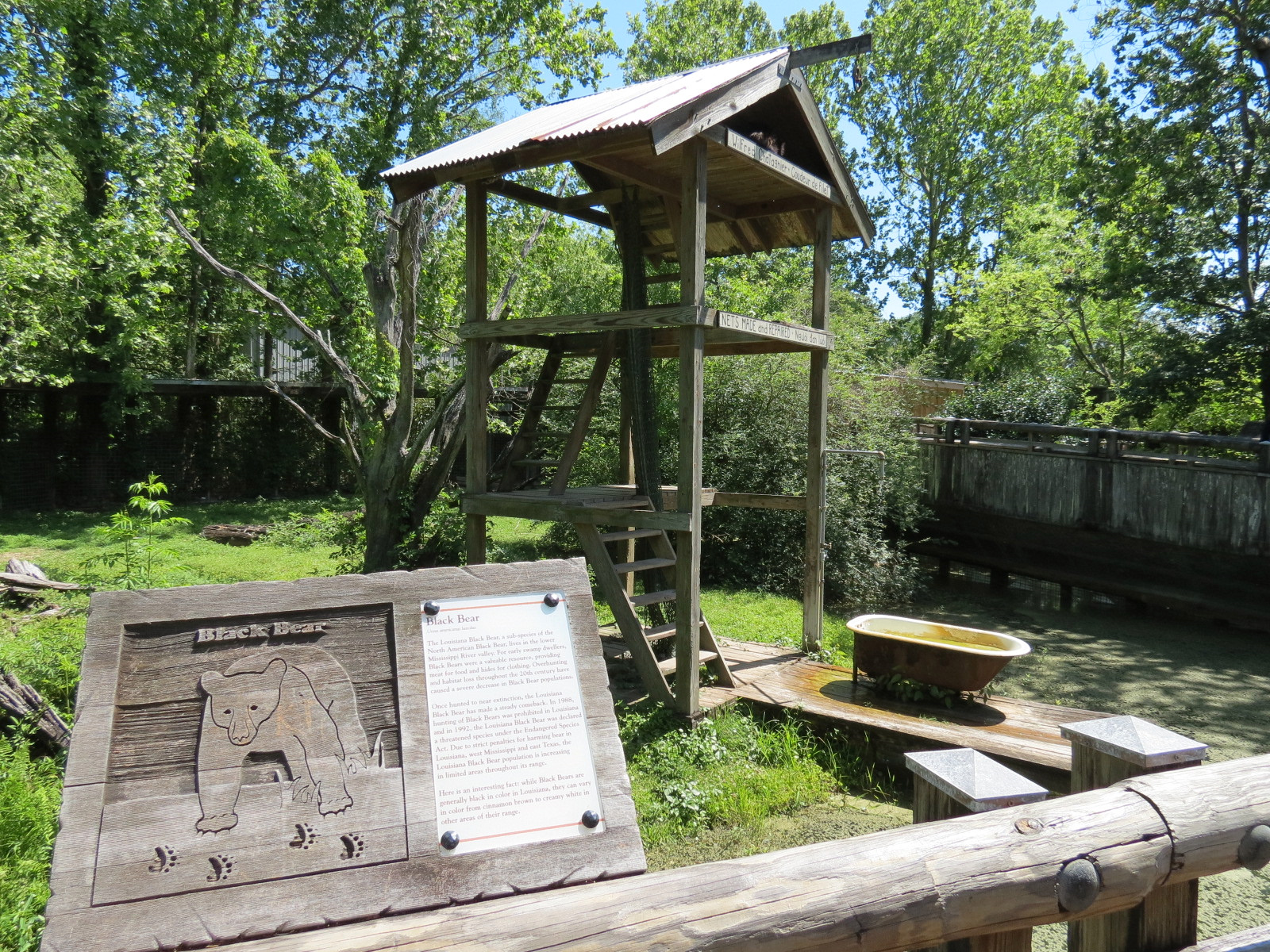 Louisiana Swamp - Black Bear Exhibit