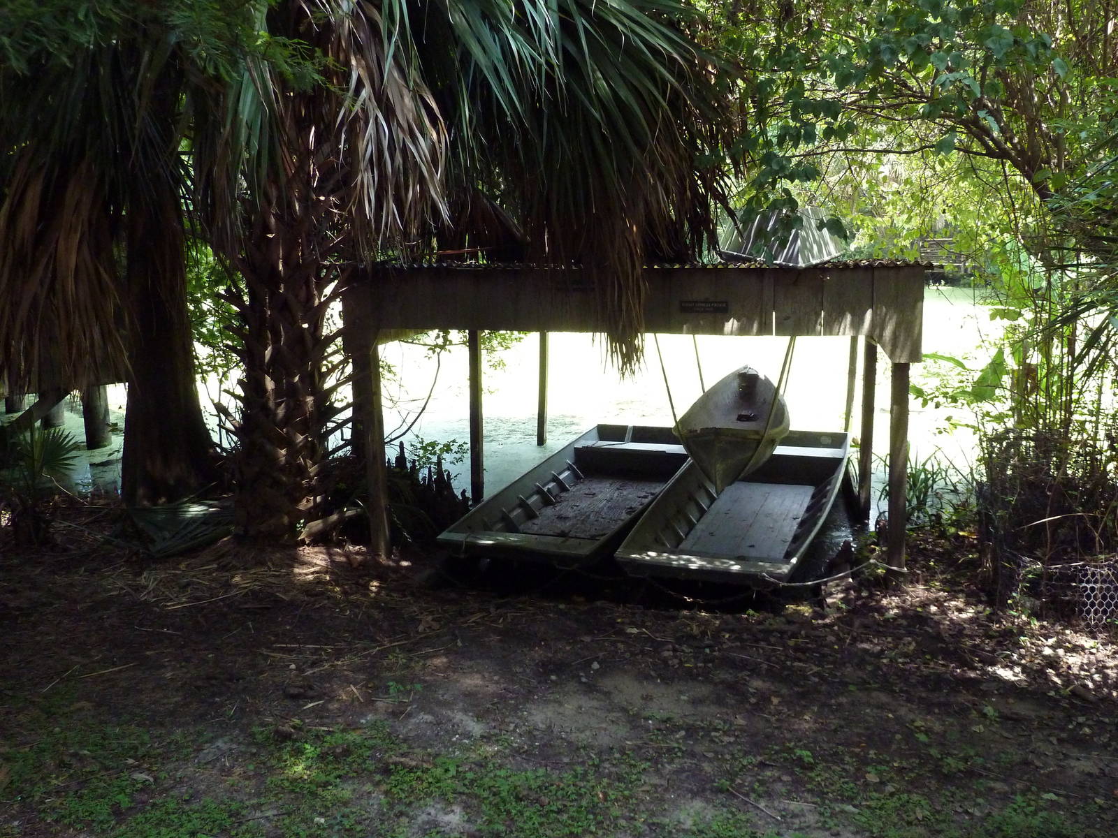Louisiana Swamp - Boats