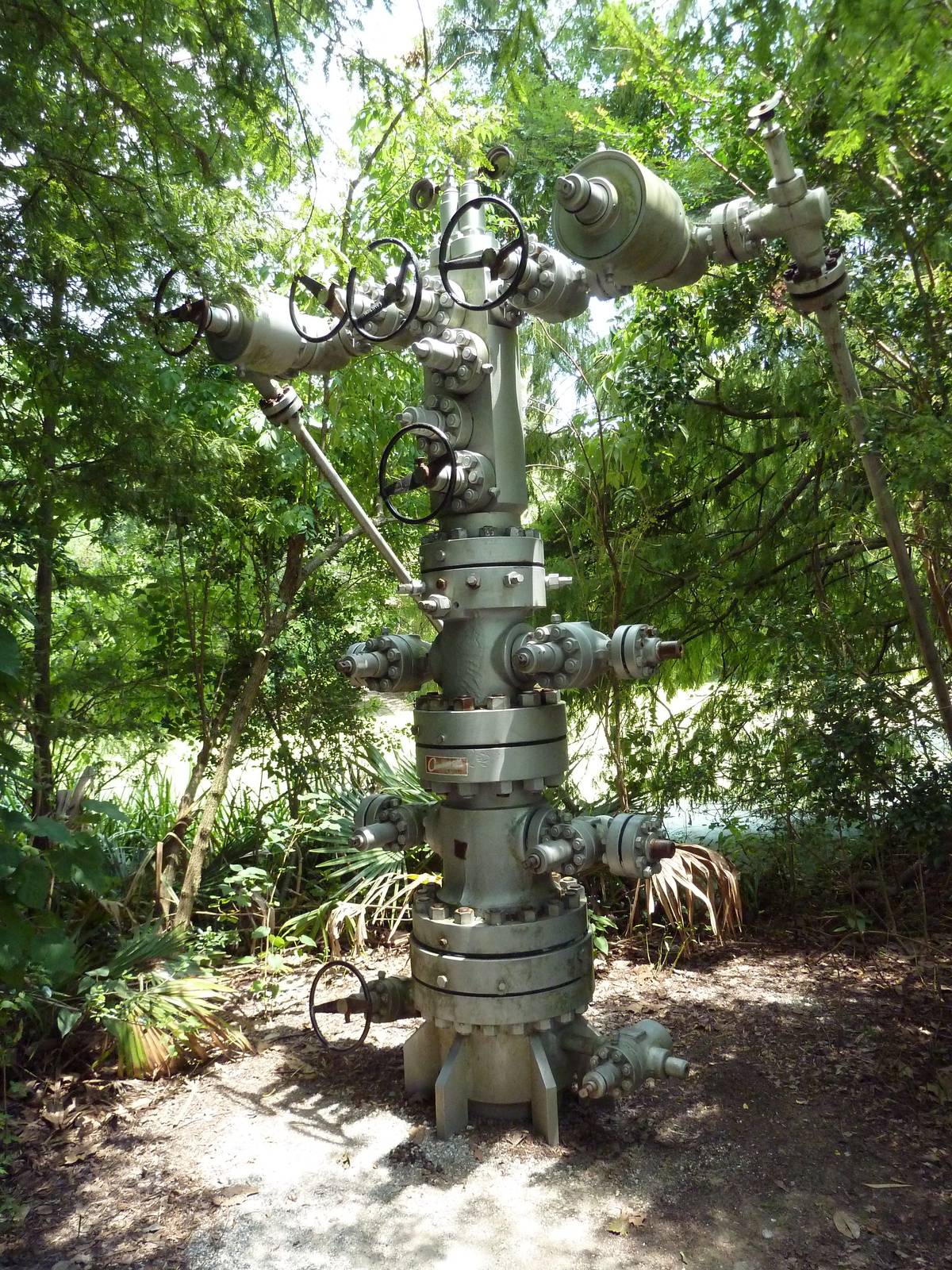 Louisiana Swamp - Cap For Oil Wells