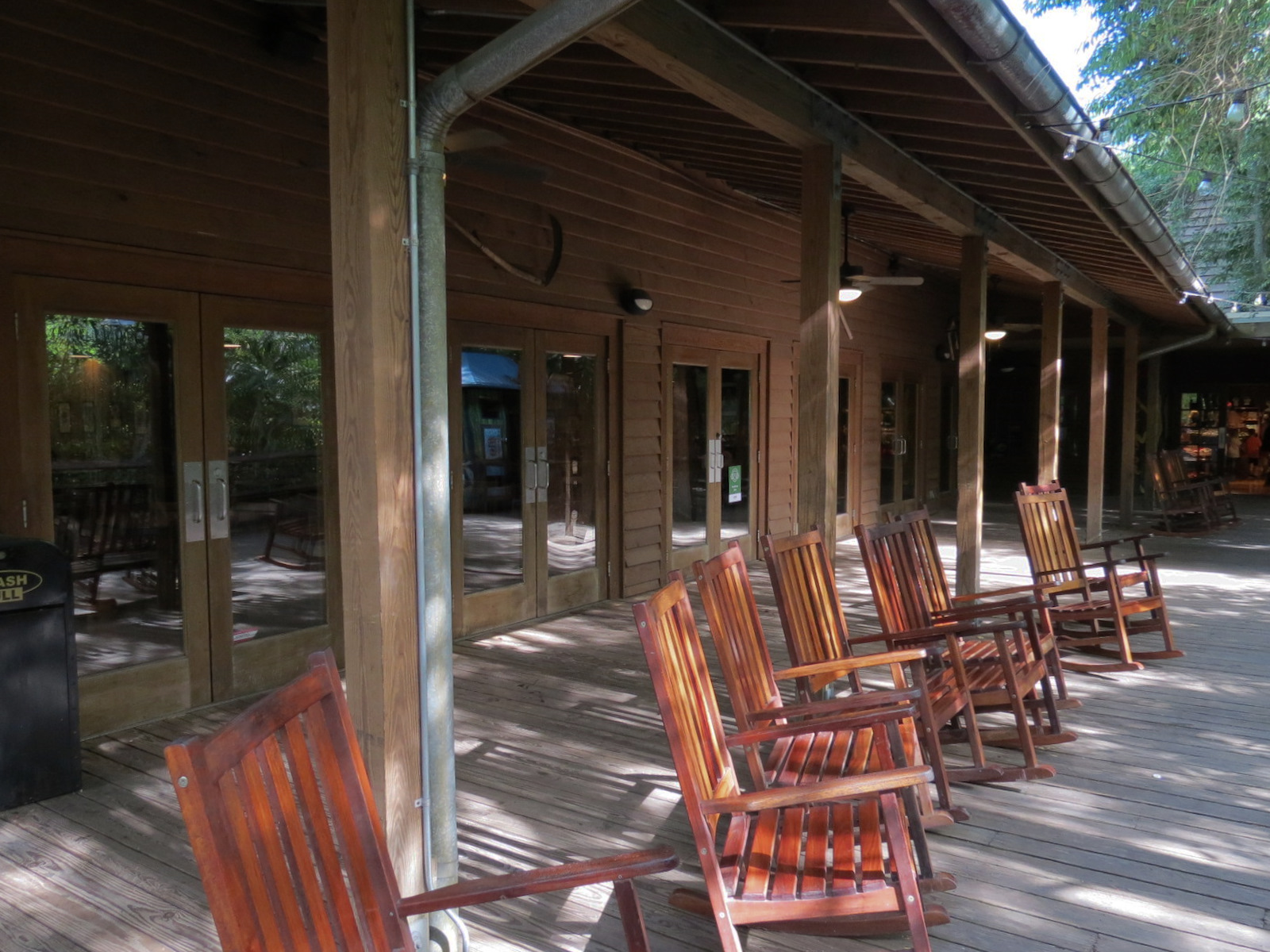 Louisiana Swamp - Cypress Knee Cafe