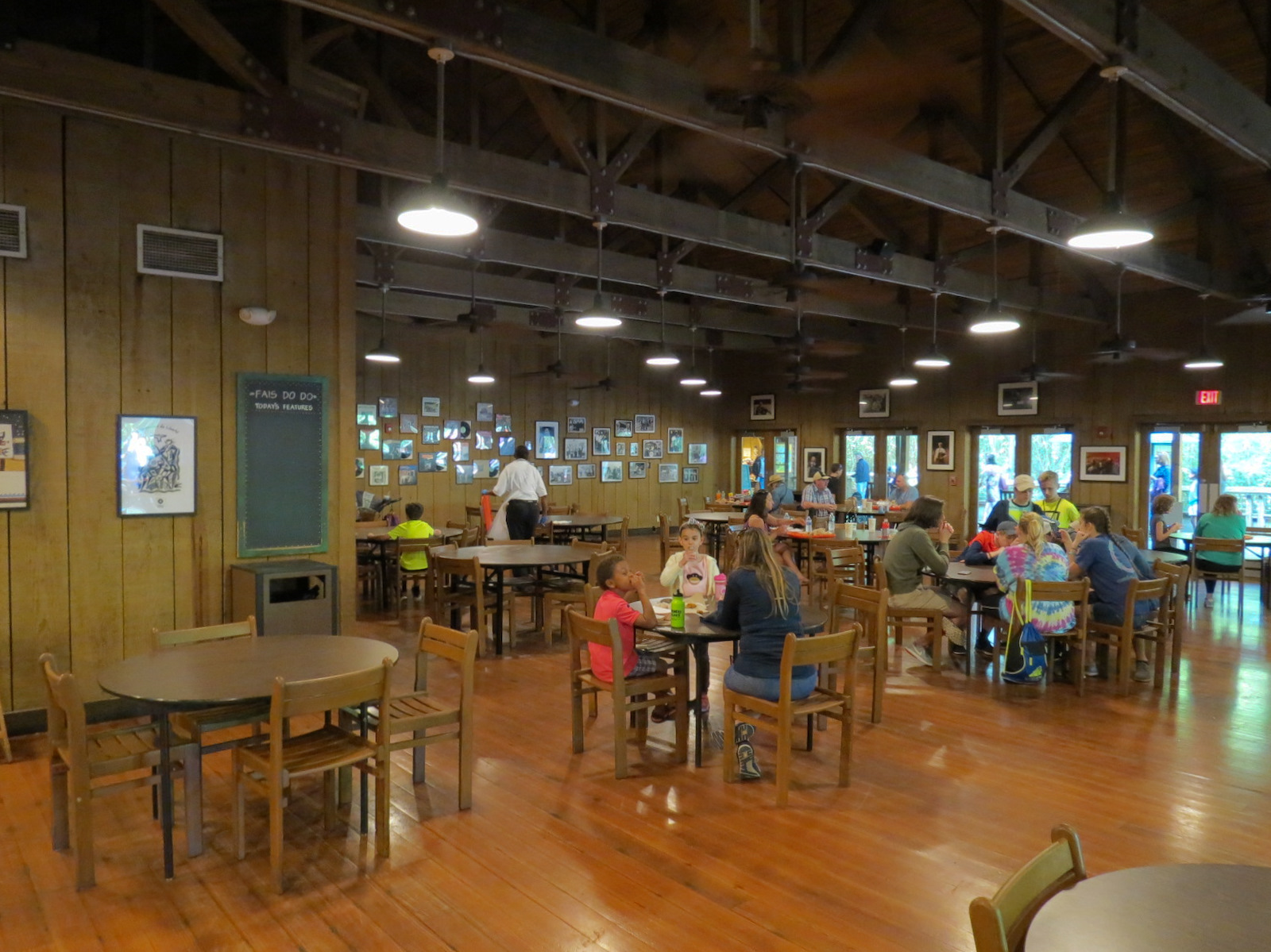 Louisiana Swamp - Cypress Knee Cafe