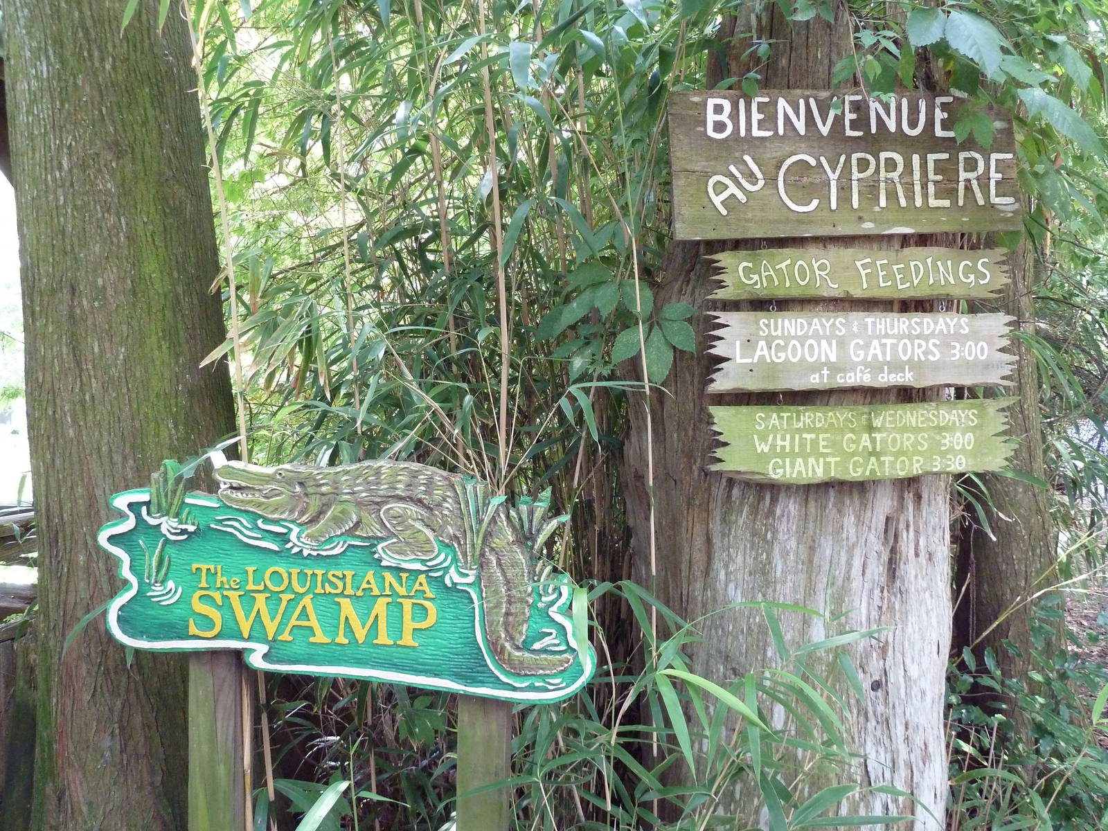 Louisiana Swamp - Entrance Signs