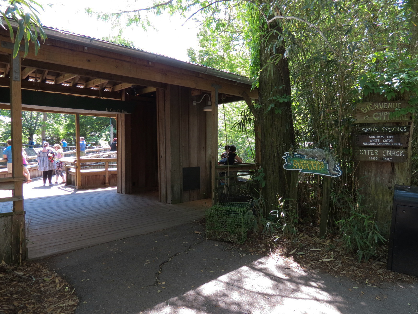 Louisiana Swamp - Entrance