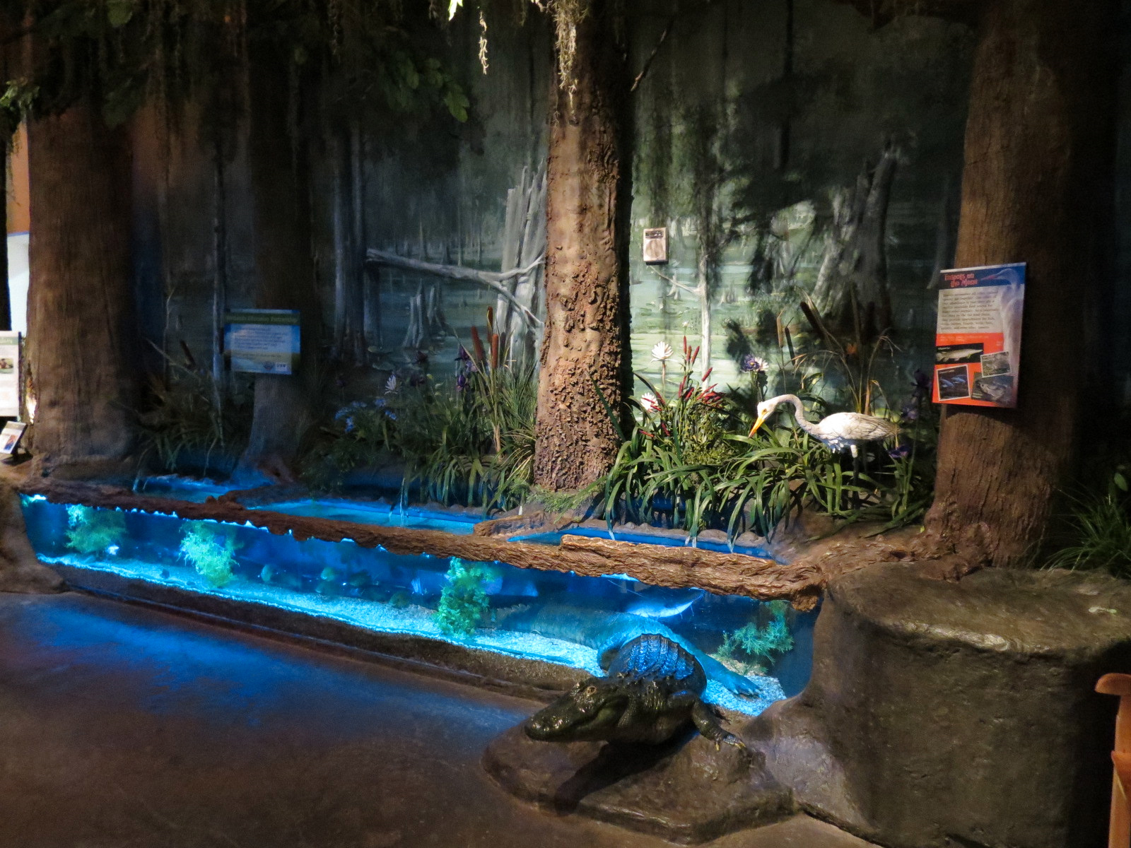Louisiana Swamp Gallery - Fish Exhibit
