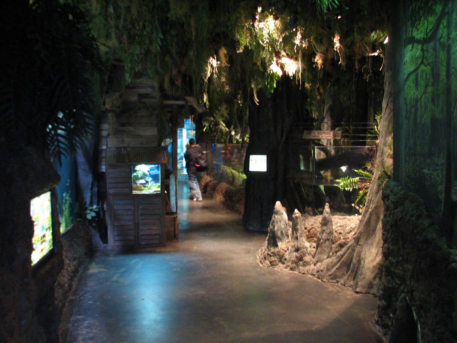 Louisiana Swamp - Interior