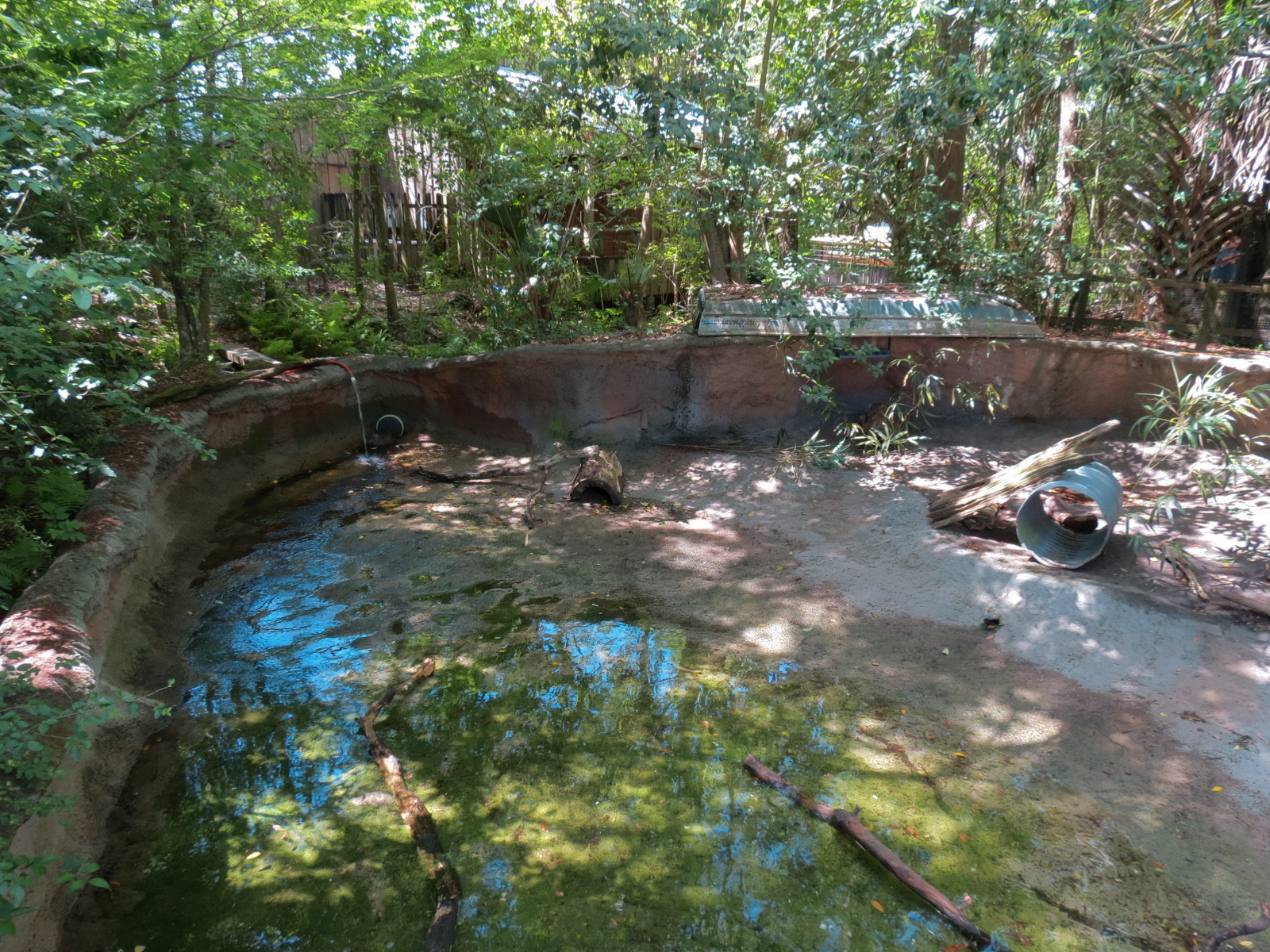 Louisiana Swamp - Nutria Exhibit