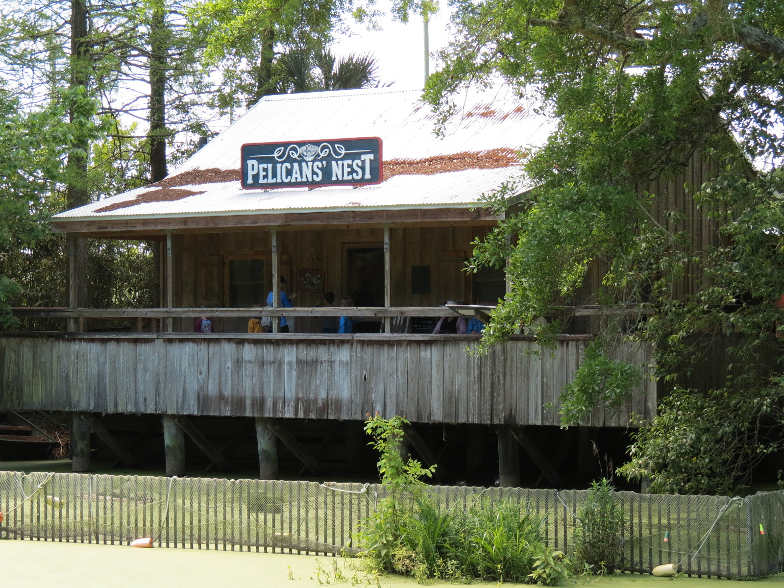 Louisiana Swamp - Pelican's Nest Education Building