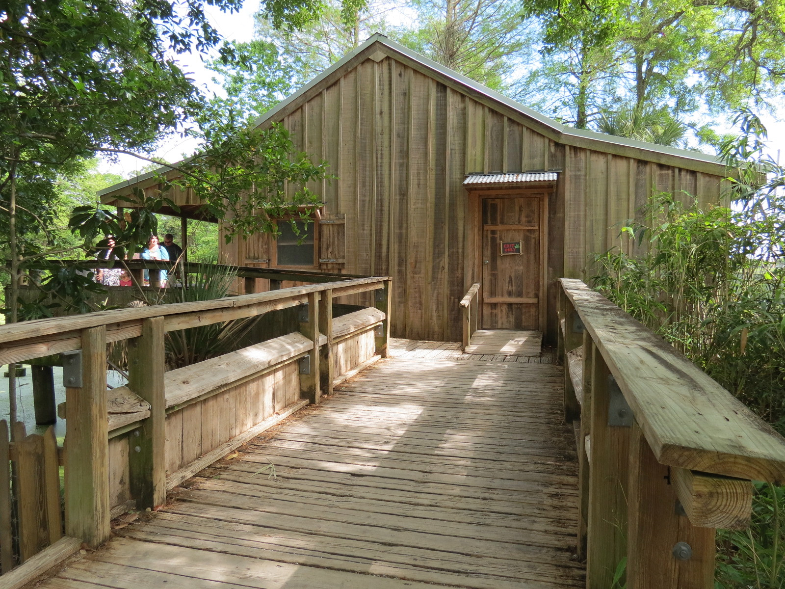 Louisiana Swamp - Pelican's Nest Education Building