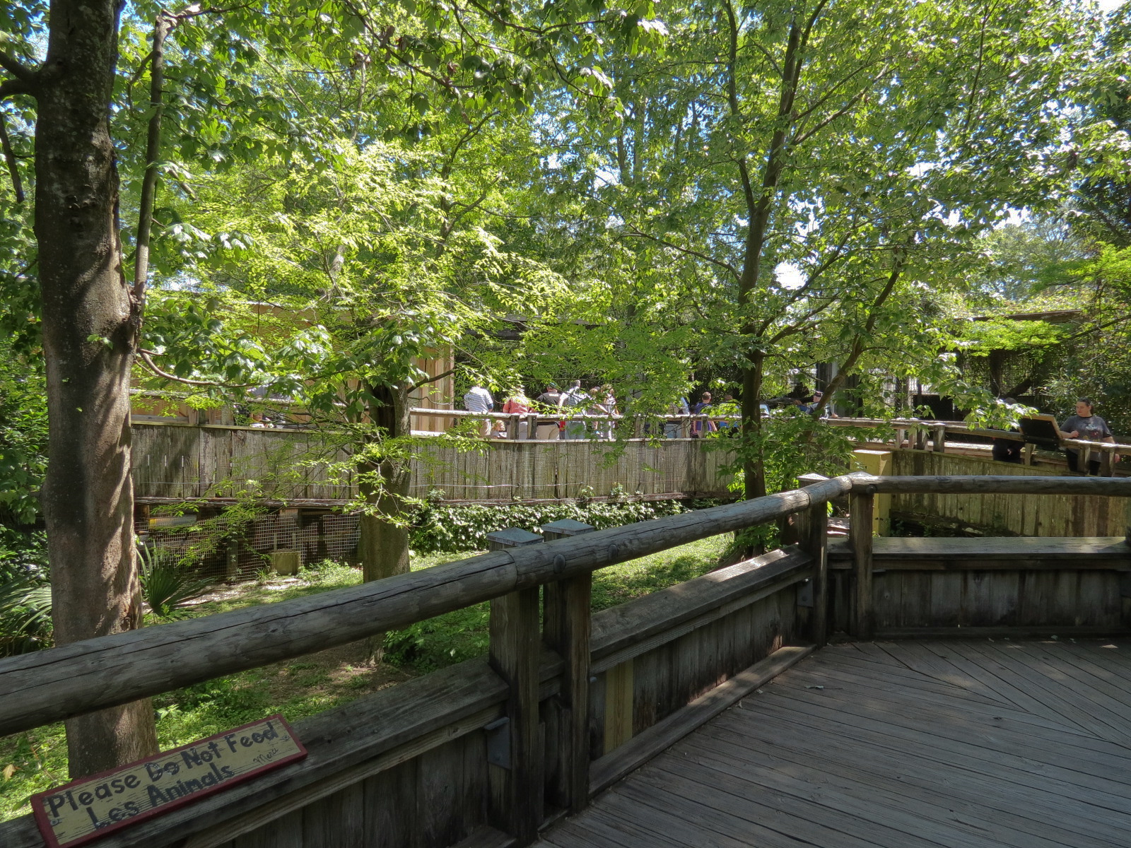 Louisiana Swamp - Raccoon Exhibit