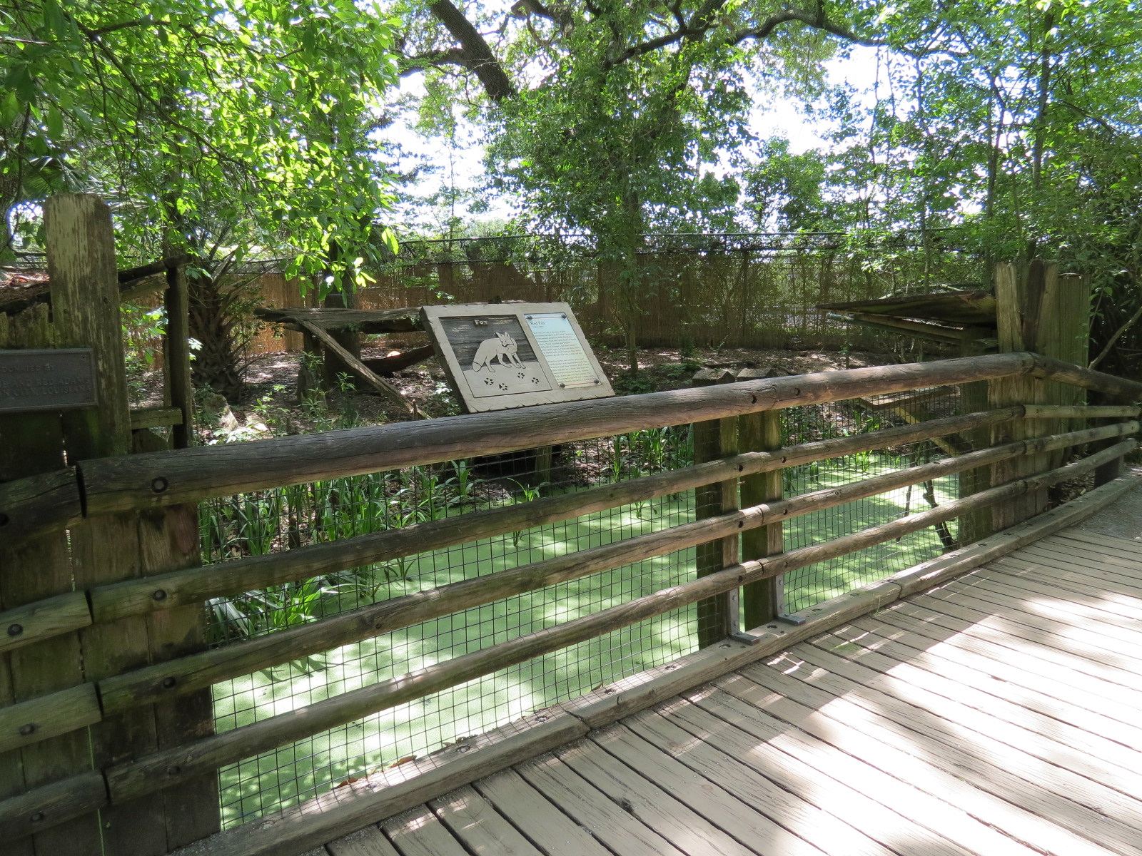 Louisiana Swamp - Red Fox Exhibit