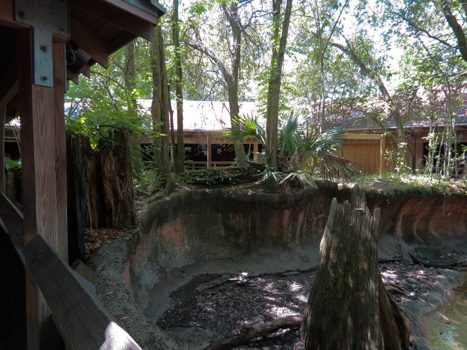 Louisiana Swamp - River Otter Exhibit