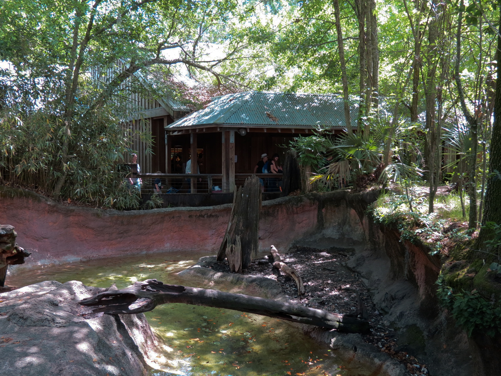 Louisiana Swamp - River Otter Exhibit