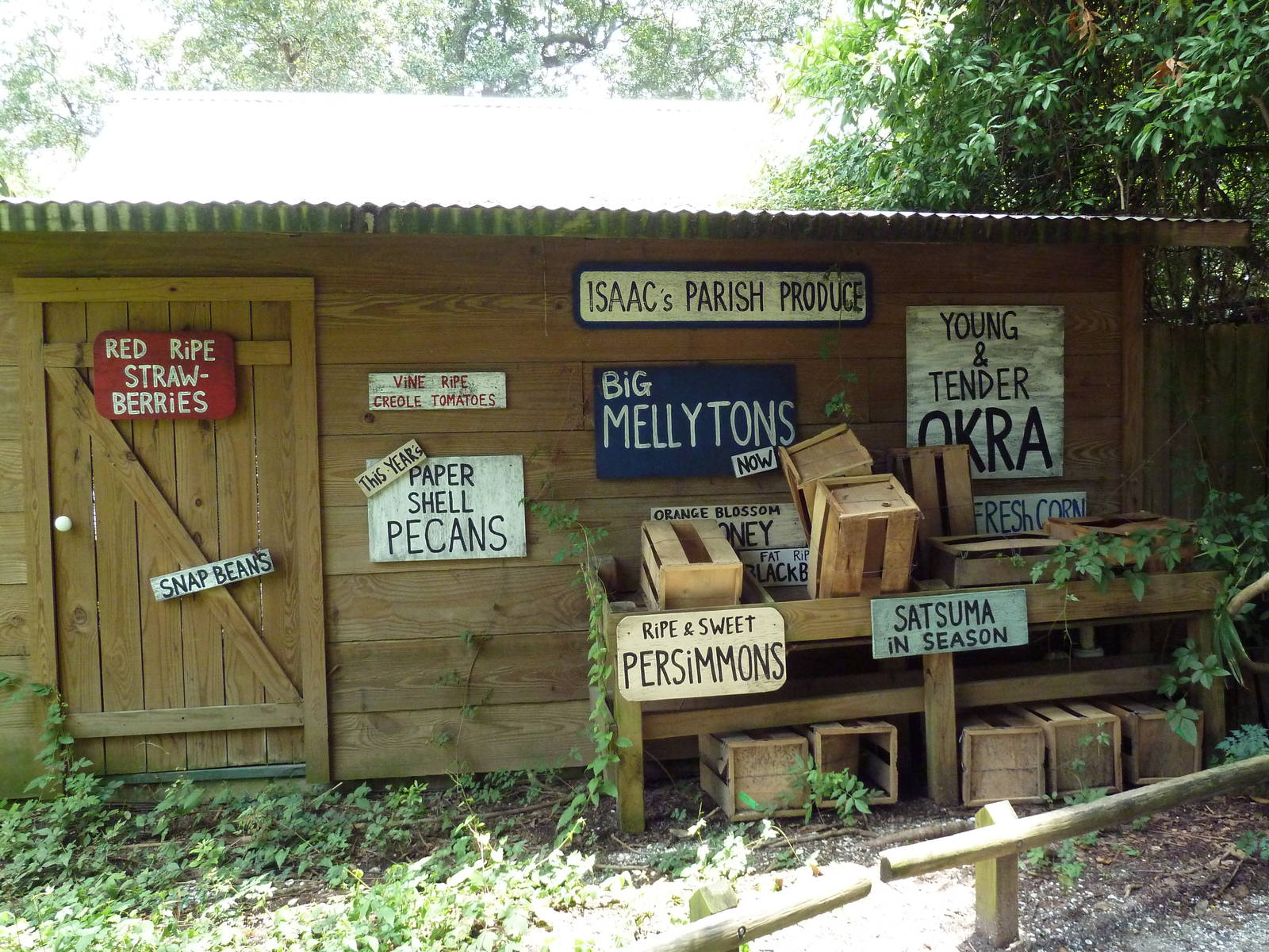 Louisiana Swamp - Signage