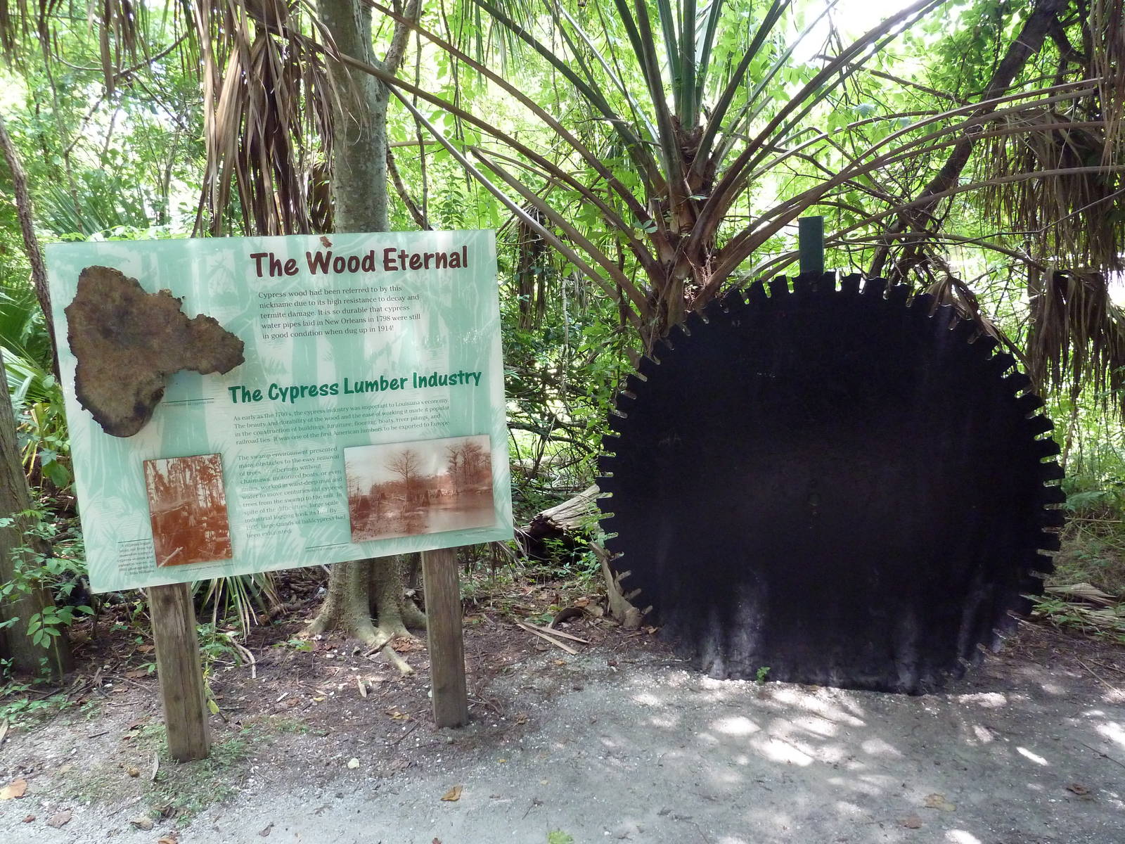 Louisiana Swamp - Signage