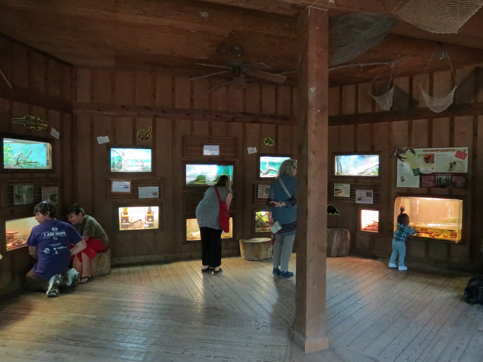 Louisiana Swamp - Terrarium Exhibits
