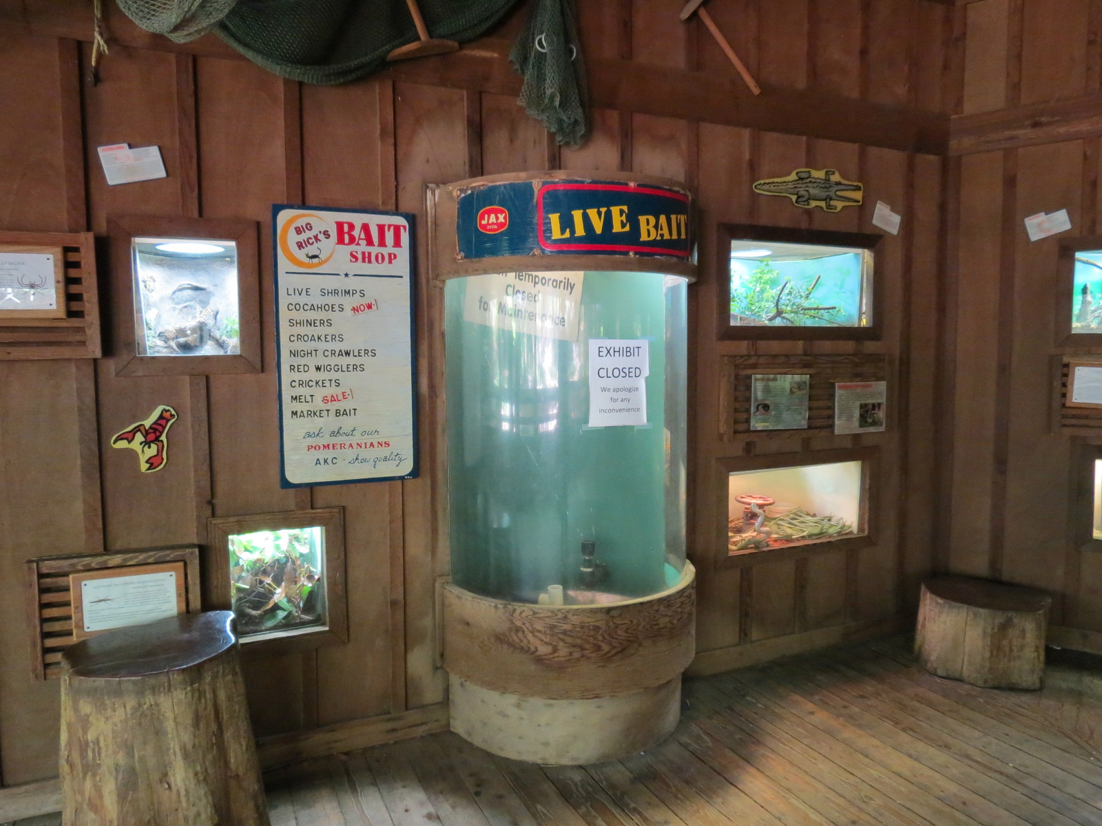 Louisiana Swamp - Terrarium Exhibits