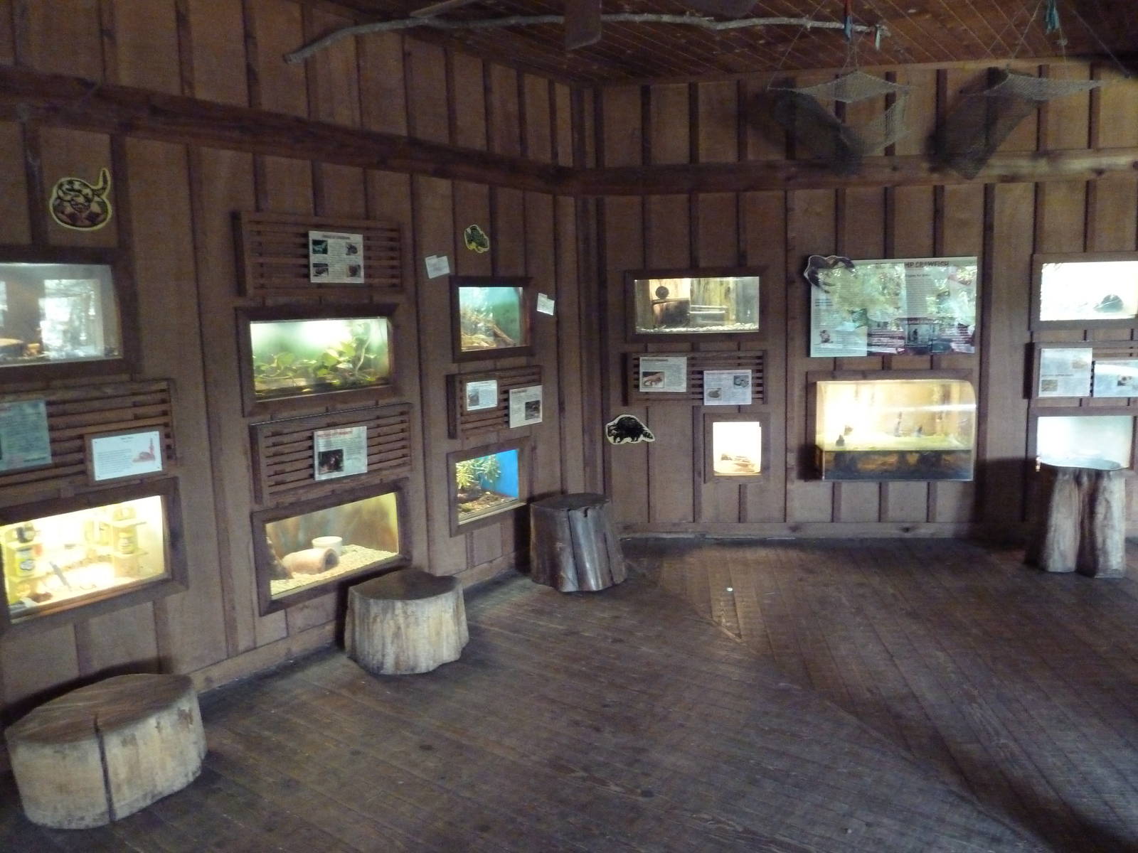 Louisiana Swamp - Terrariums