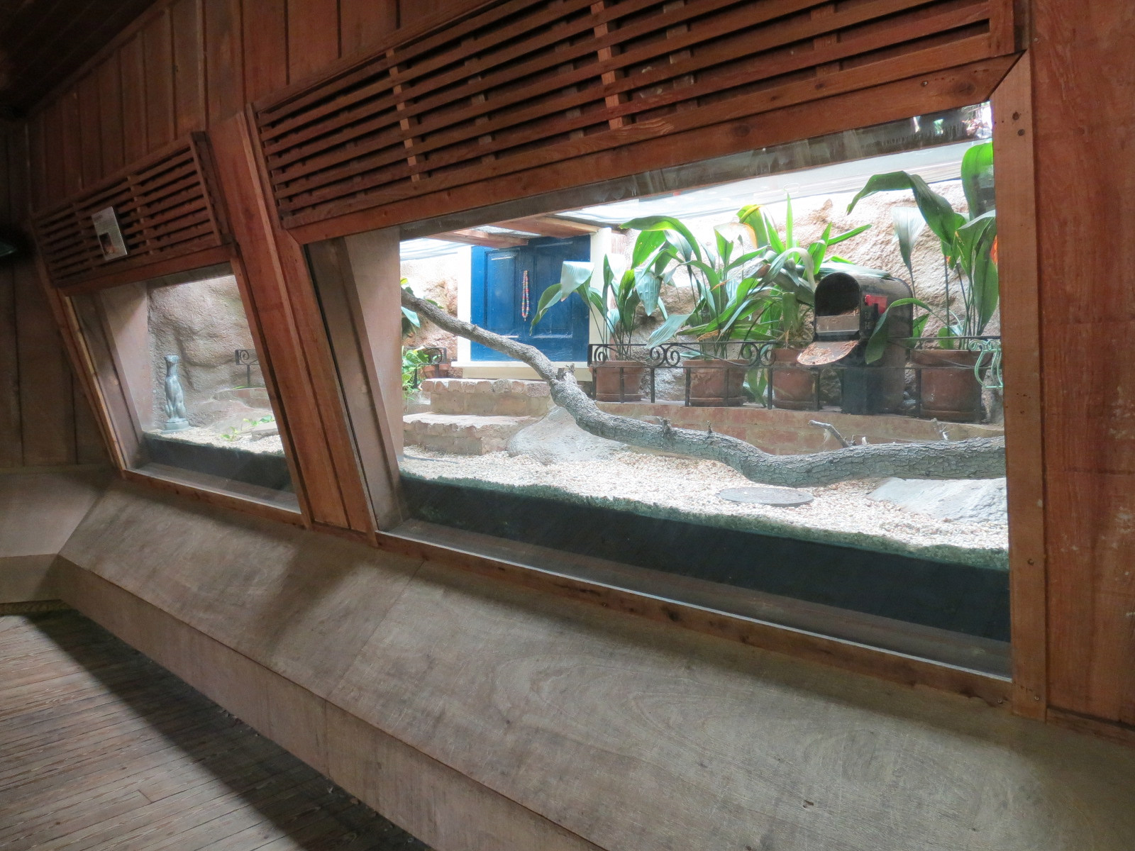 Louisiana Swamp - Texas Rat Snake Exhibit