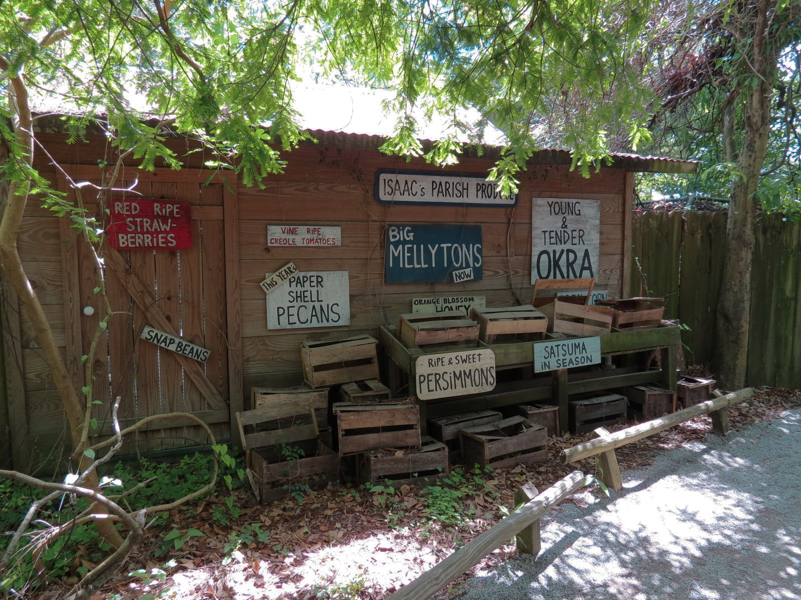 Louisiana Swamp - Themed Architecture