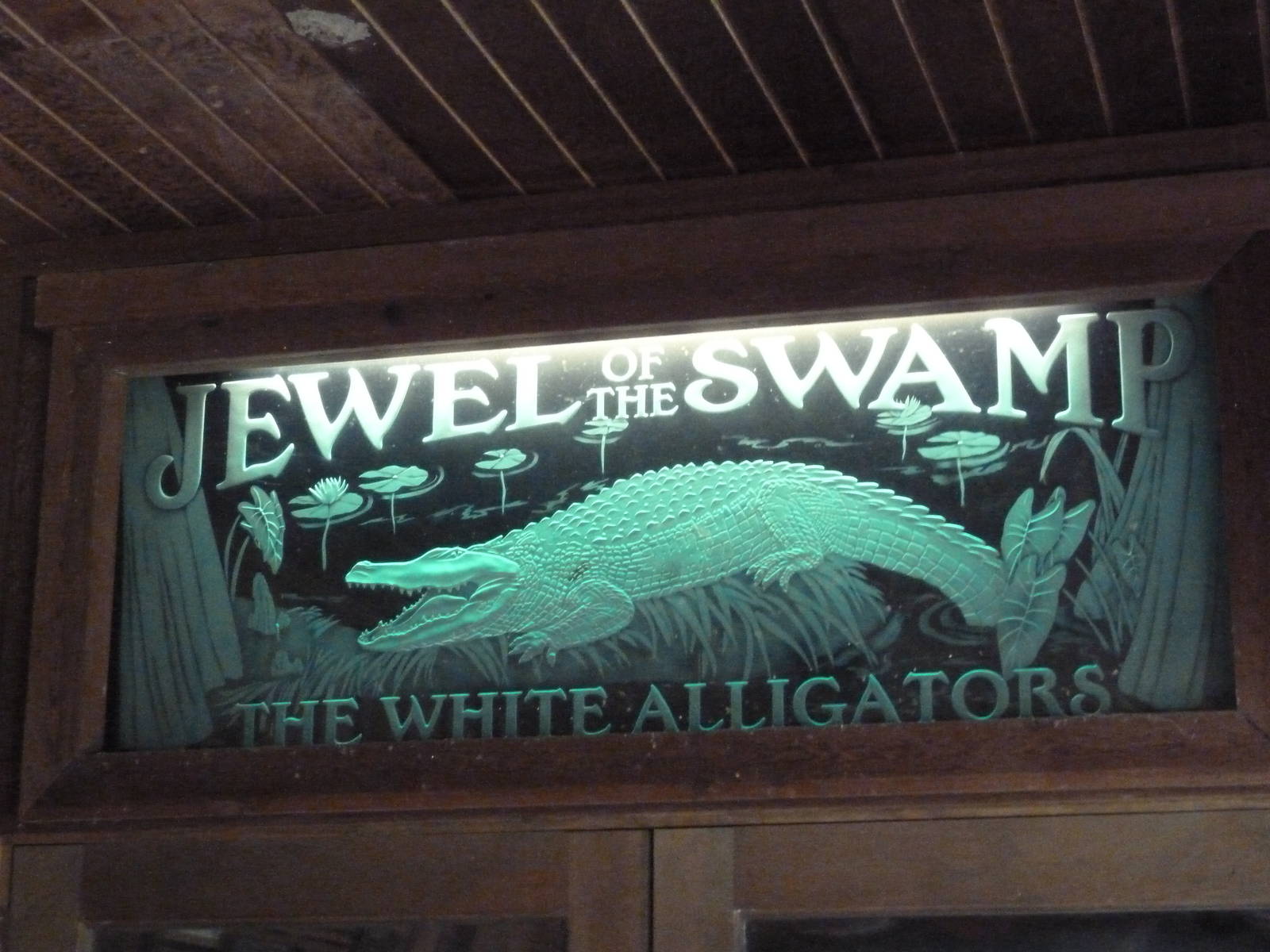 Louisiana Swamp - White Alligator Sign
