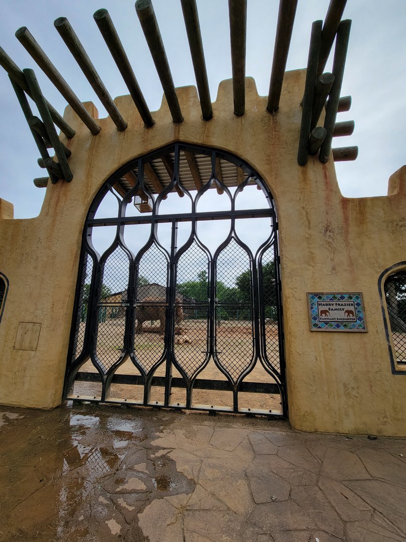 Louisville 5/22 - African and Asian elephants