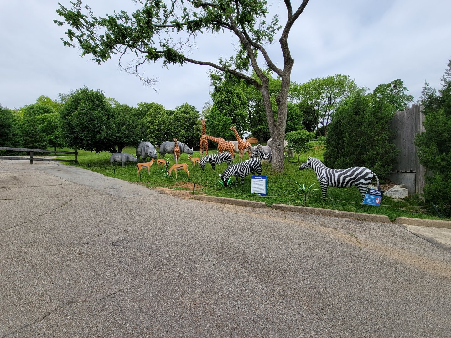 Louisville 5/22 - African lanterns between Asian cats and Glacier Run