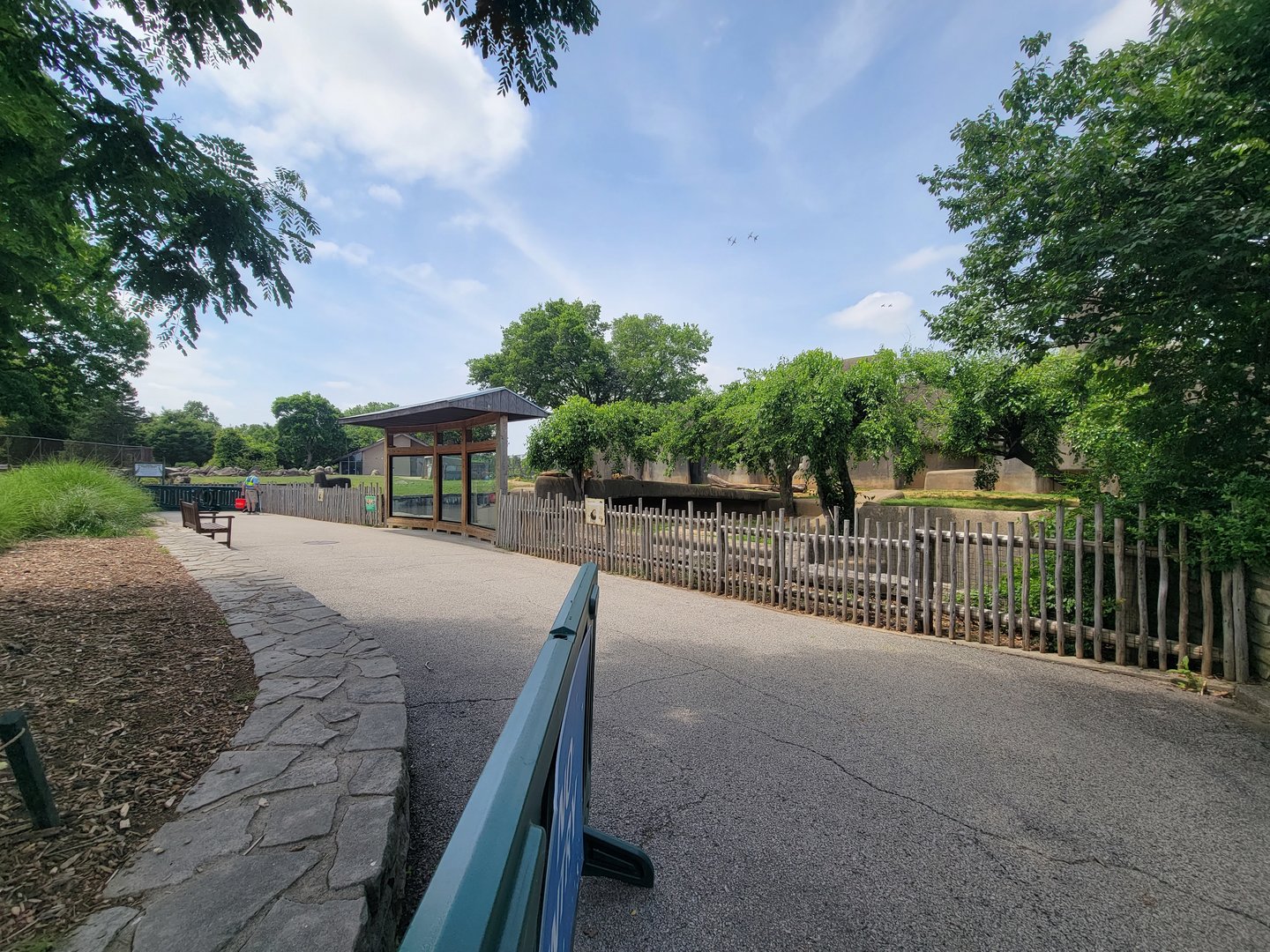 Louisville 5/22 - African lions