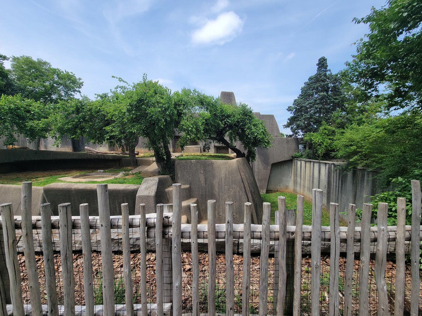 Louisville 5/22 - African lions