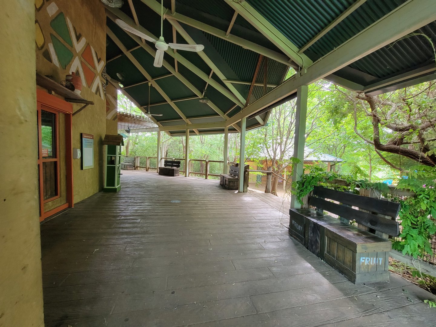 Louisville 5/22 - Area outside lowland gorillas