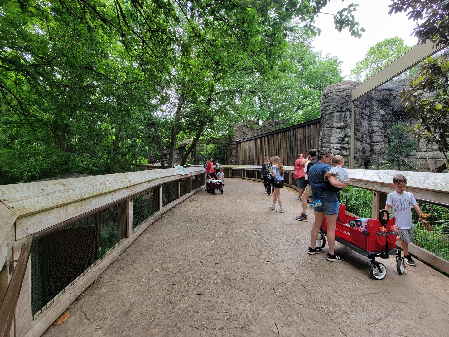 Louisville 5/22 - Cats of the Americas, dead end path