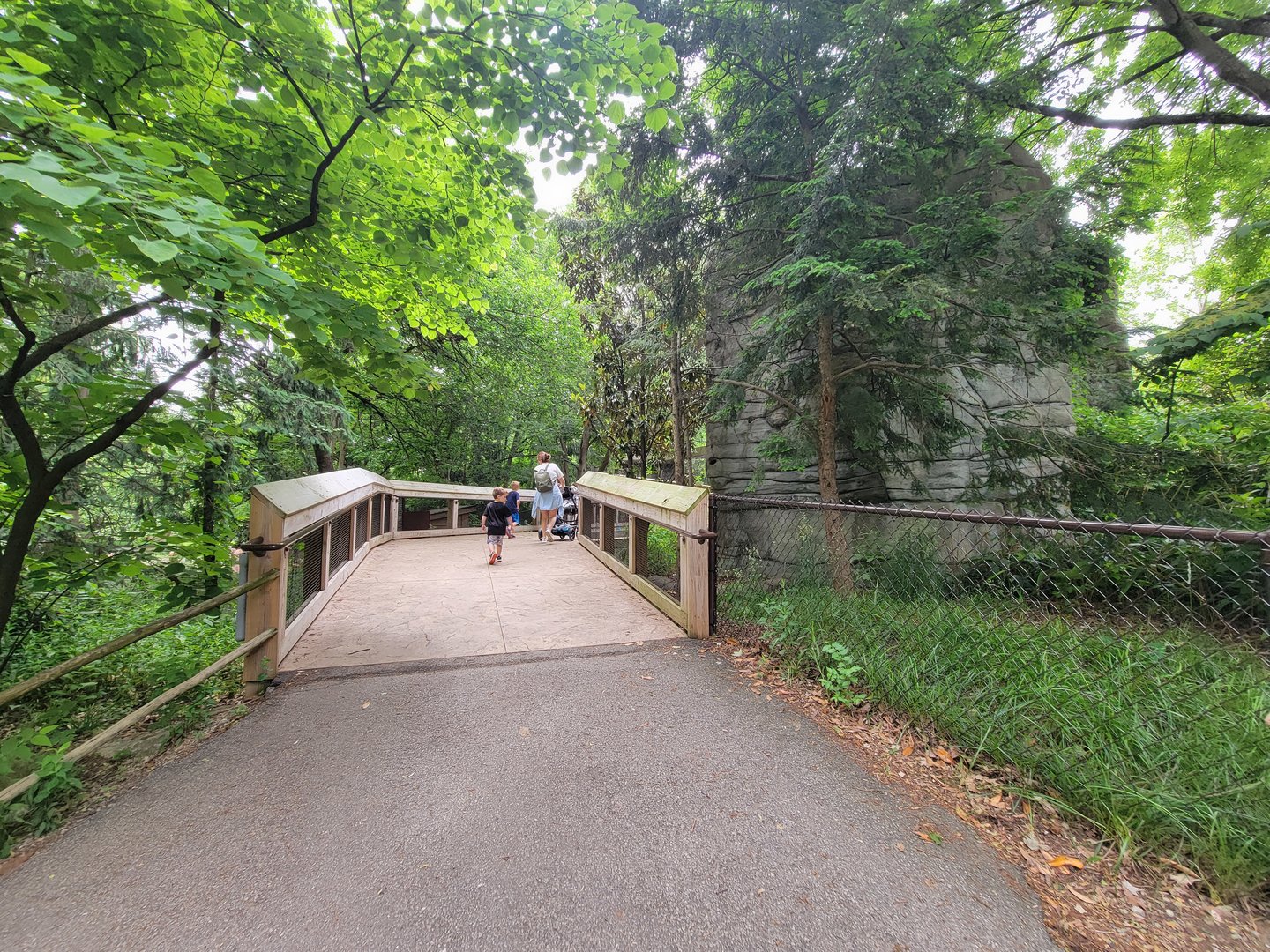 Louisville 5/22 - Cats of the Americas path