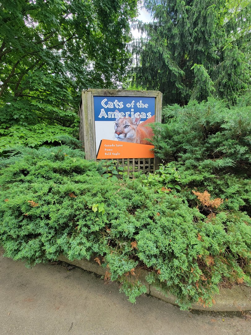 Louisville 5/22 - Cats of the Americas