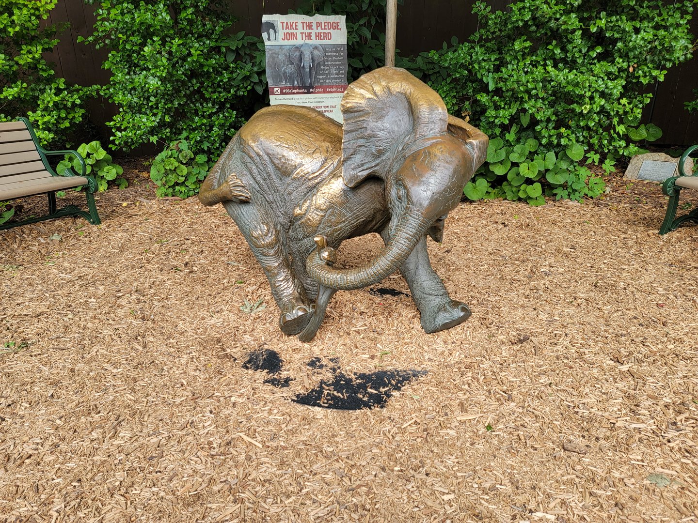 Louisville 5/22 - Elephant calf statue