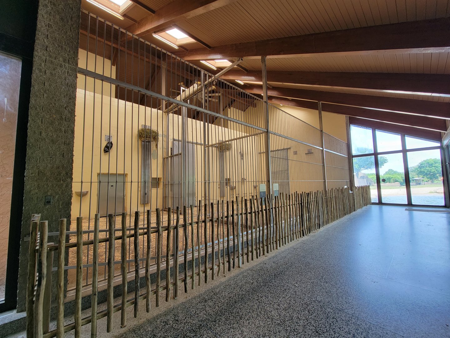 Louisville 5/22 - Giraffe House, giraffe indoor area