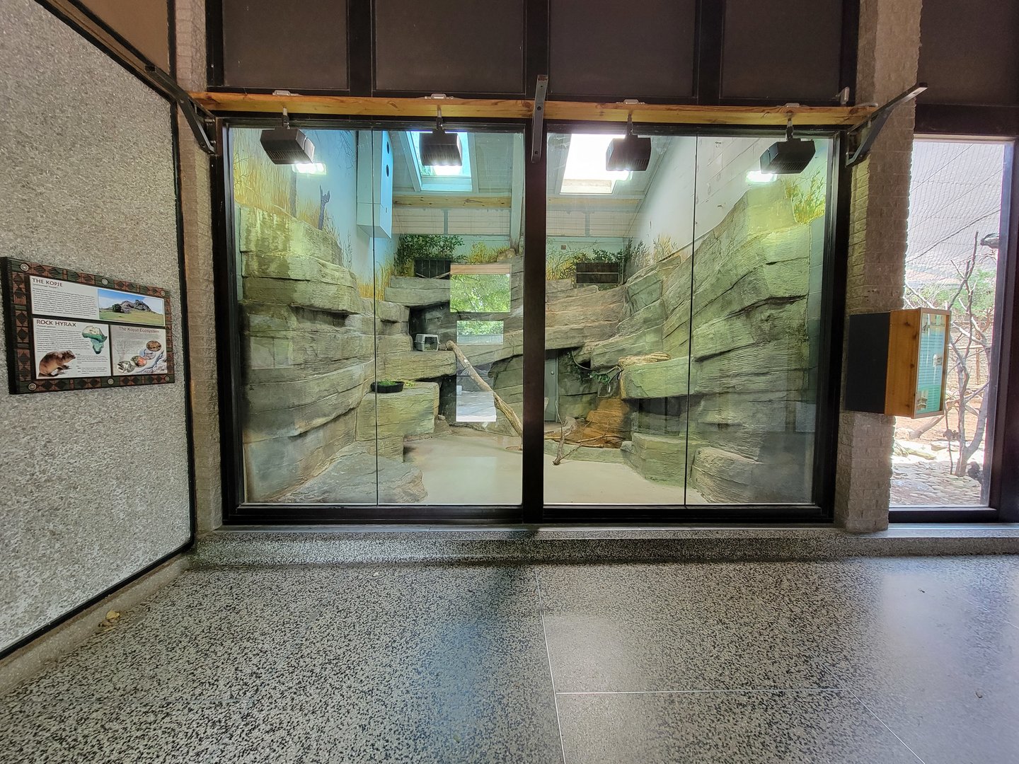 Louisville 5/22 - Giraffe House, rock hyrax and African pygmy falcon