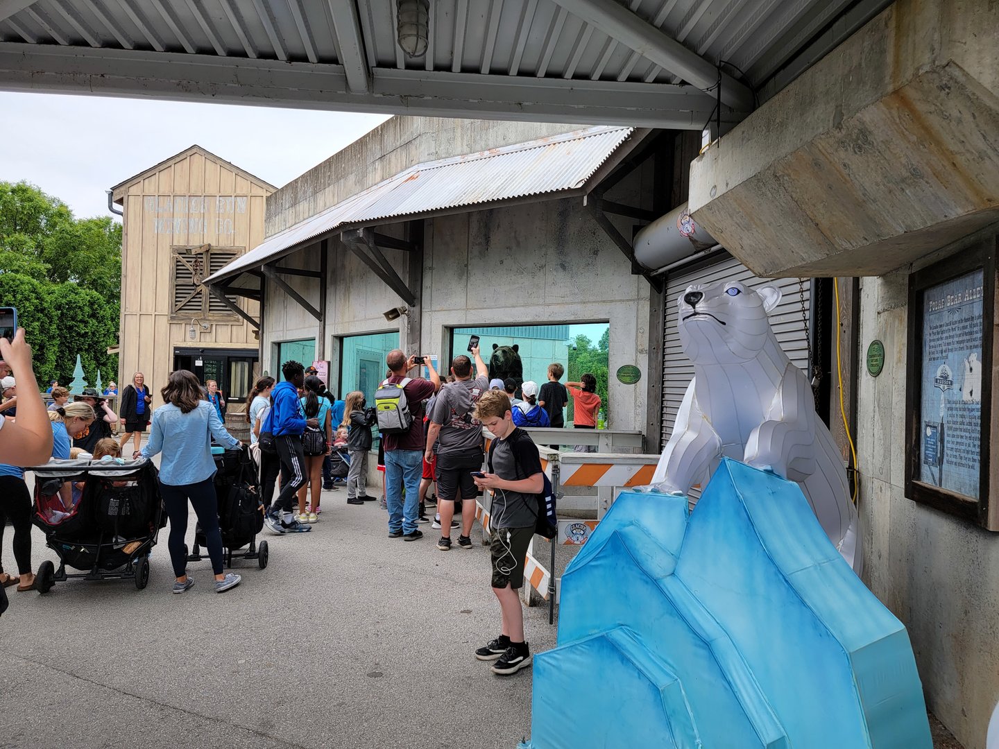 Louisville 5/22 - Glacier Run, brown bear greeting people