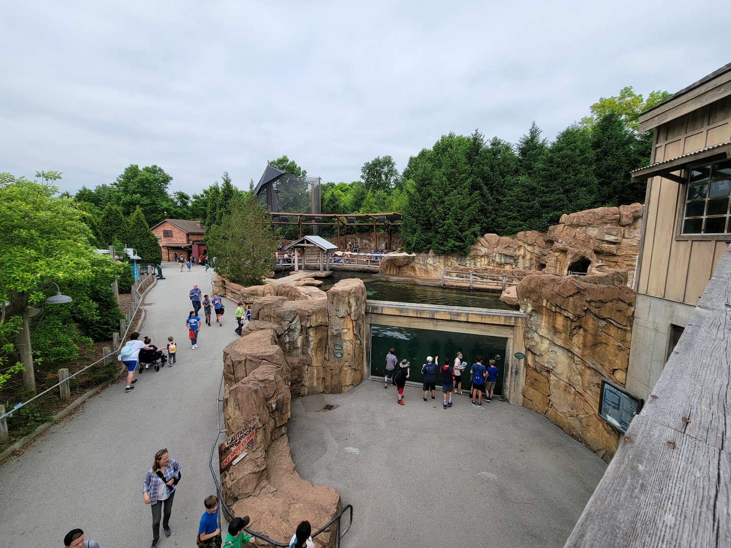 Louisville 5/22 - Glacier Run, pinniped area from above