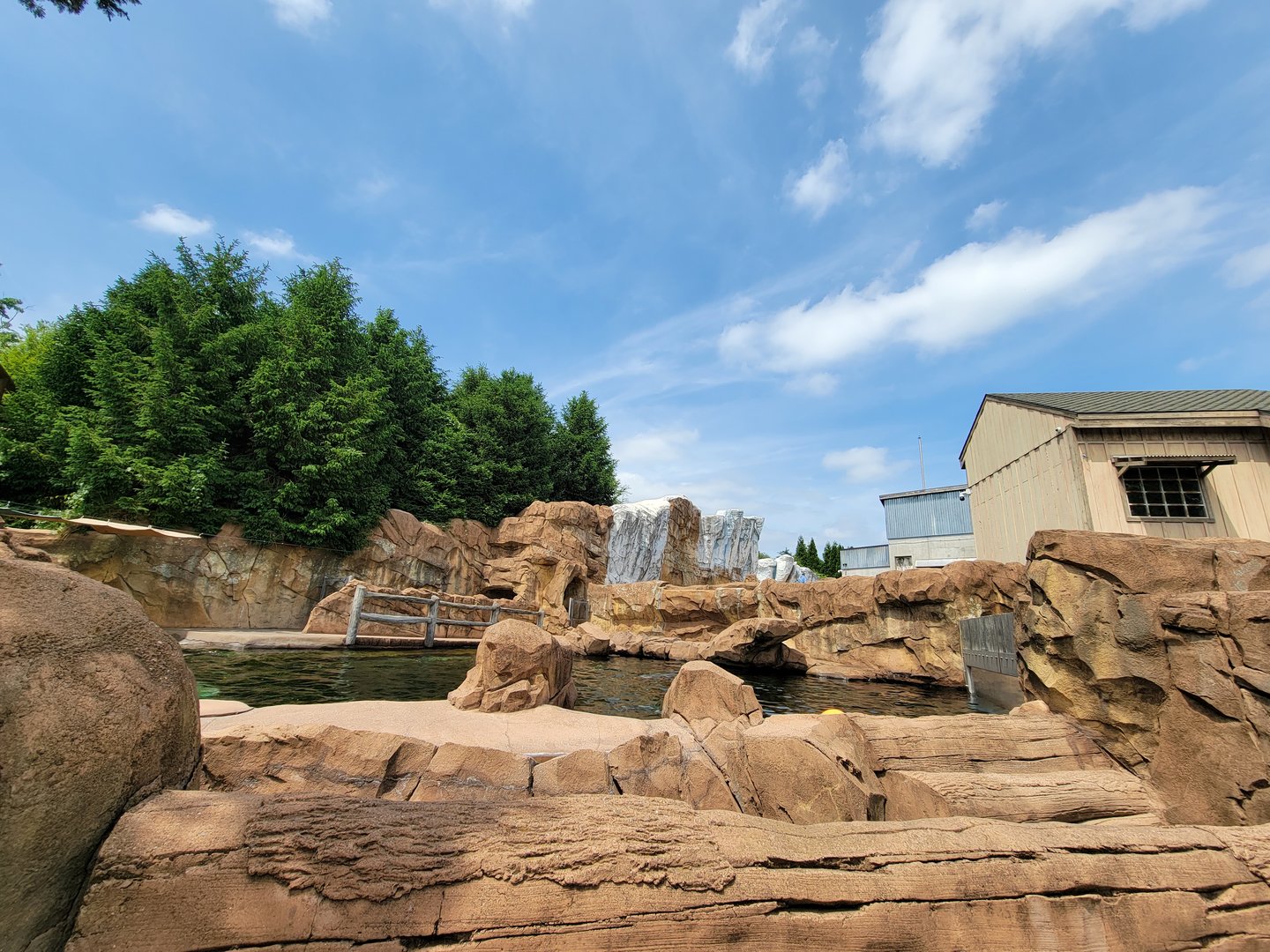 Louisville 5/22 - Glacier Run, pinniped pools