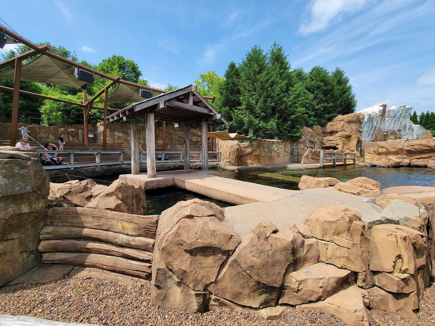 Louisville 5/22 - Glacier Run, pinniped presentation area