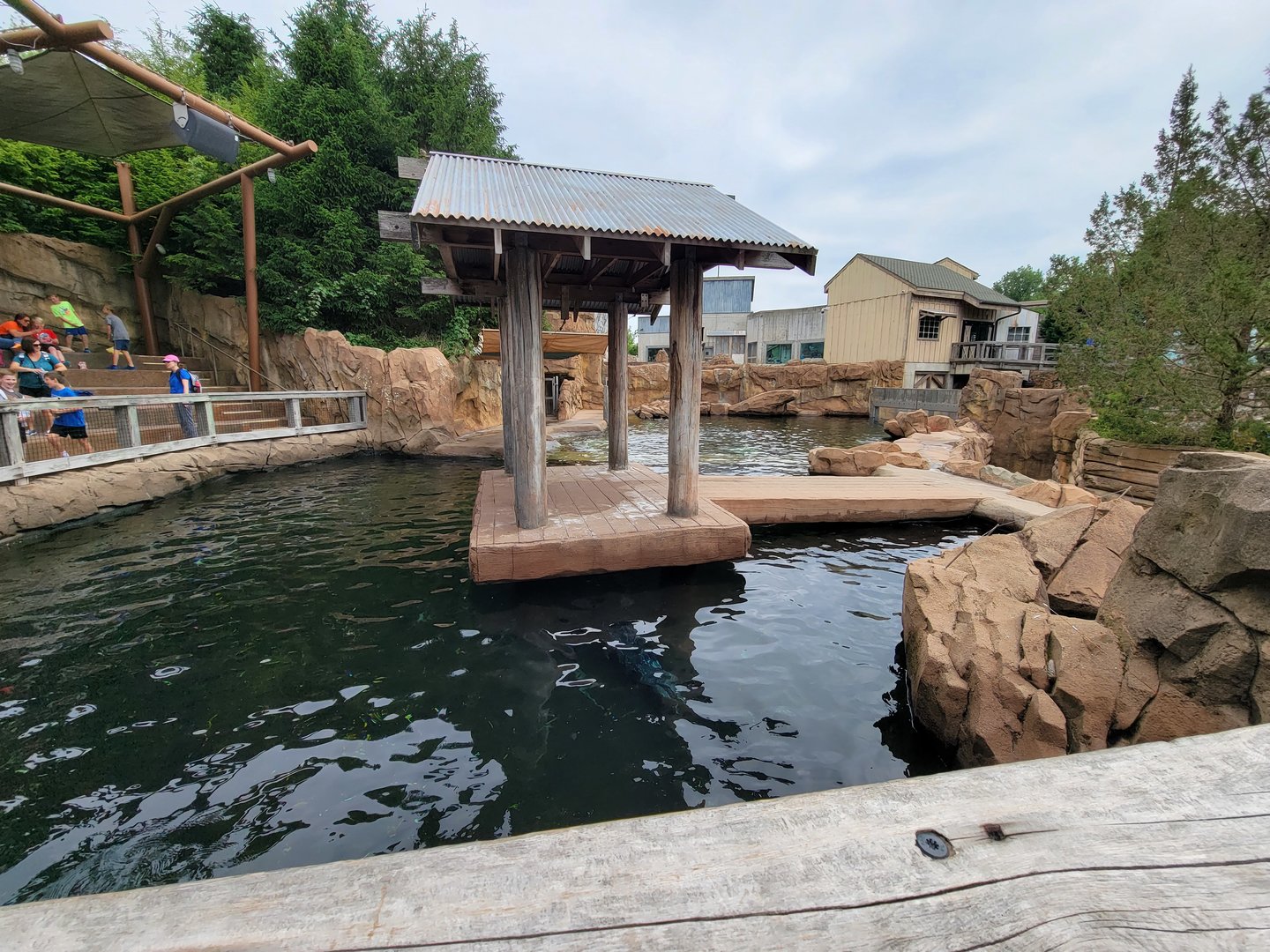 Louisville 5/22 - Glacier Run, pinniped presentation pool