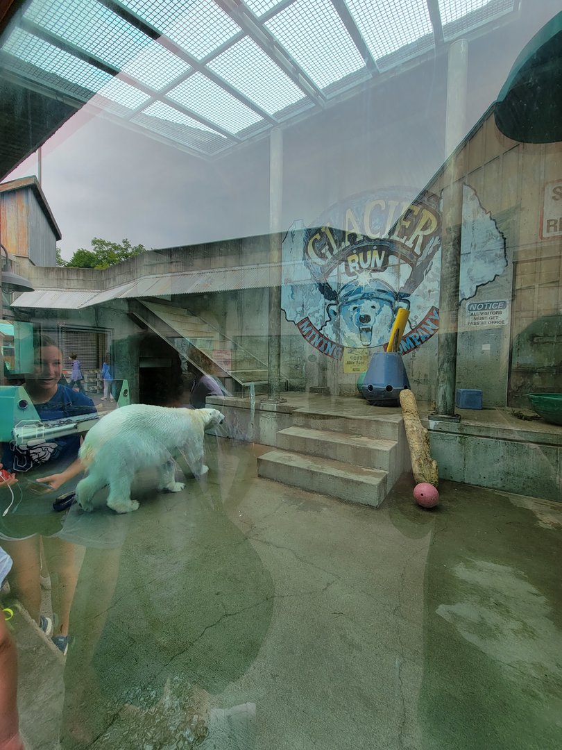 Louisville 5/22 - Glacier Run, polar bear / brown bear exhibit, far exhibit