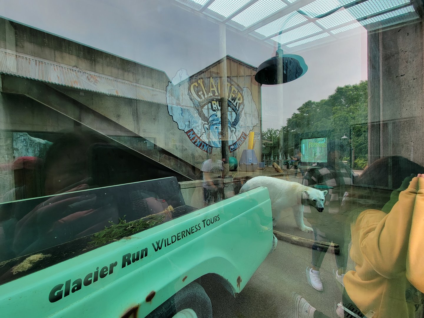 Louisville 5/22 - Glacier Run, polar bear / brown bear exhibit, far side area