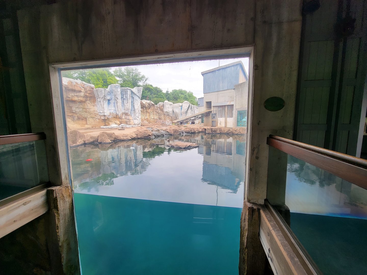 Louisville 5/22 - Glacier Run, polar bear / brown bear exhibit pool from indoors