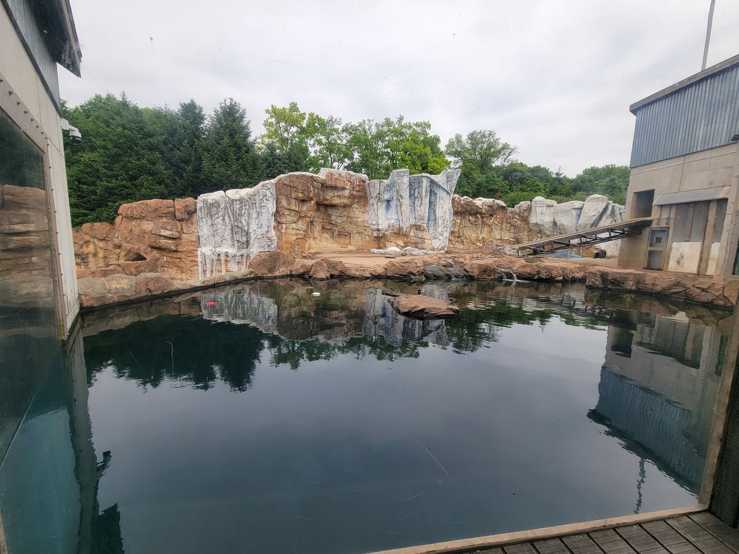 Louisville 5/22 - Glacier Run, polar bear / brown bear exhibit pool from indoors