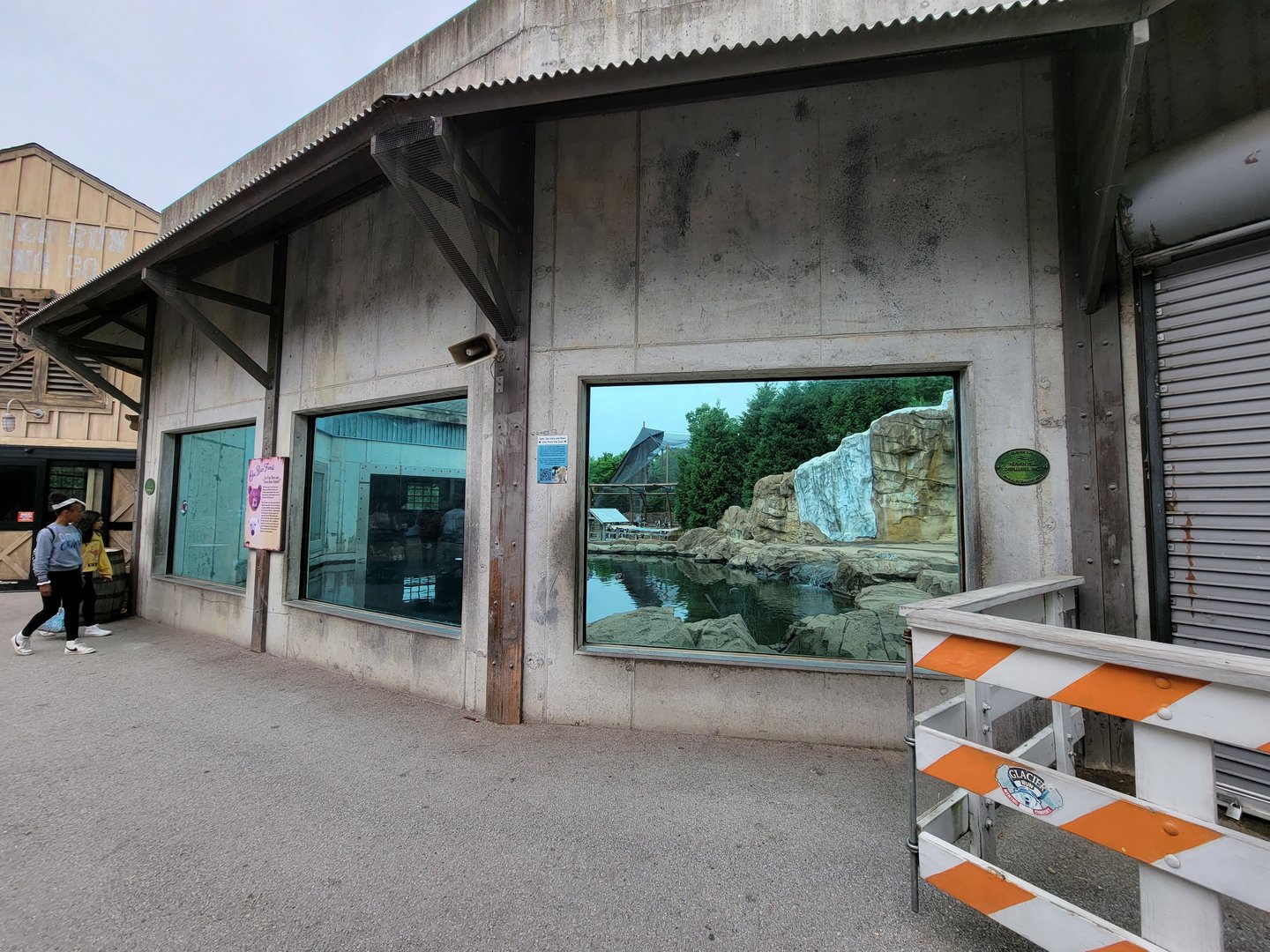 Louisville 5/22 - Glacier Run, polar bear / brown bear exhibit pool